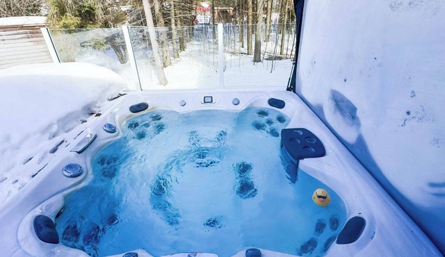 Birch Beach Lake House-Hottub Sauna Lake Access