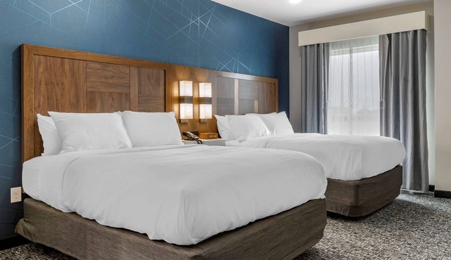 Comfort Suites Greenville Airport