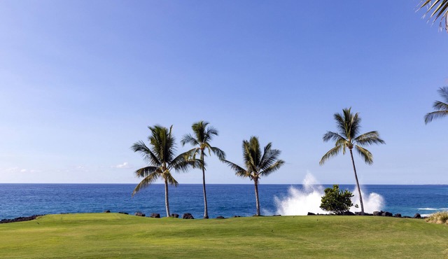 Hale Aloha #34