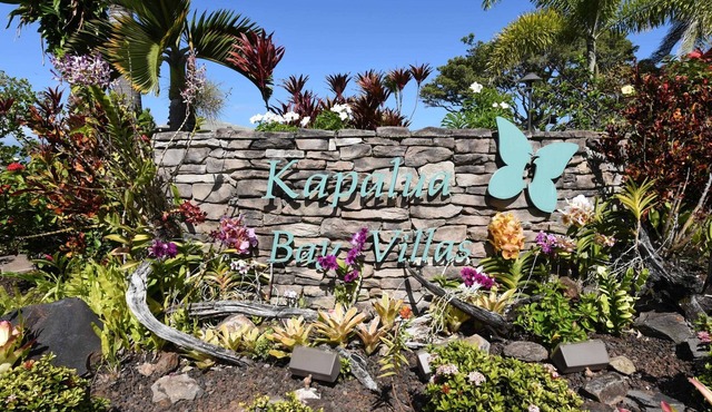 Kapalua Bay Villa 29b4 1 Bedroom Villa by RedAwning