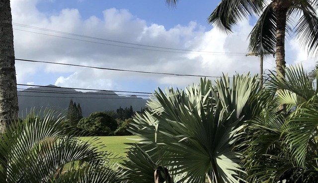 Kaua'i Palms Hotel