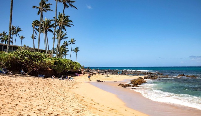 KBM Resorts | FREE CAR | Napili Bay | Oceanfront | Stunning Studio Villa, Turtle views! NAB-107