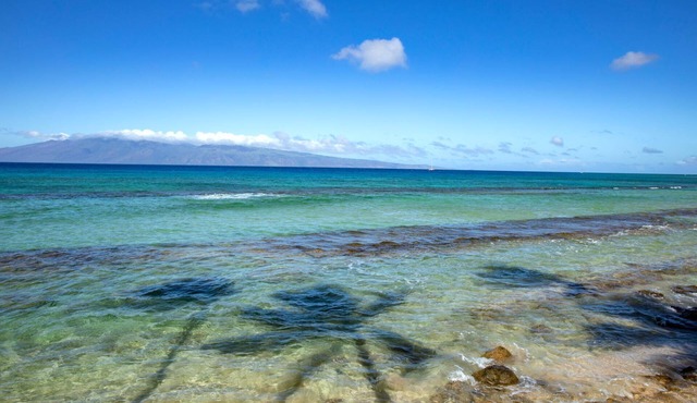 KBM Resorts | FREE CAR | Papakea | Ocean view | Renovated 3-Bedroom Condo and Fully Air Conditioned! PKC-403