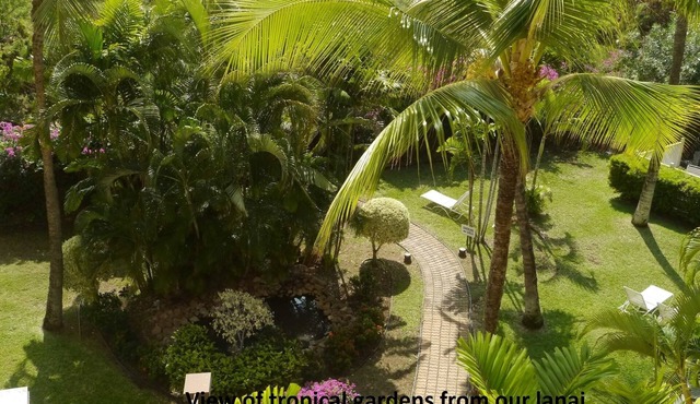 Ocean, mountain, pool views. Best location at The Banyan. Across from Kam2 beach