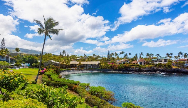 Oceanfront, updated, clean, modern. Great reviews!