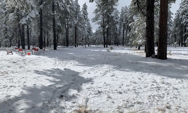Flagstaff, AZ
