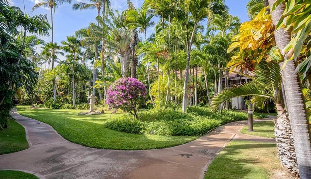 Tropical & Serene Garden Vistas